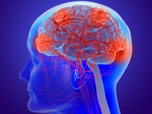 graphic of human brain